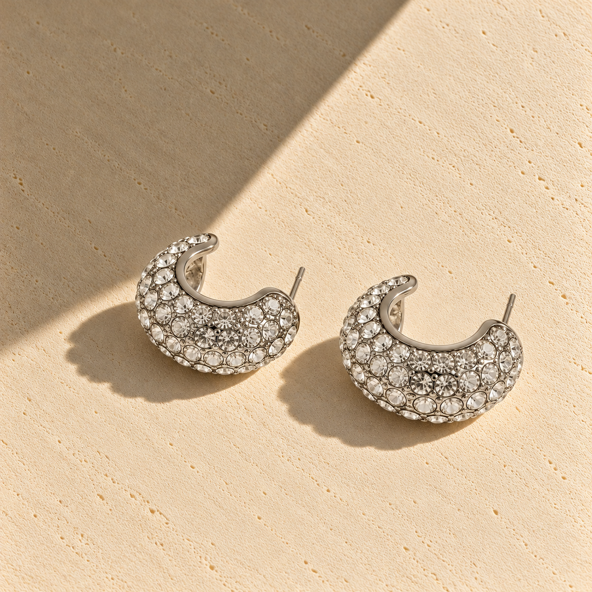 Remo Earrings Silver