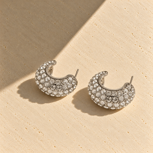 Remo Earrings Silver