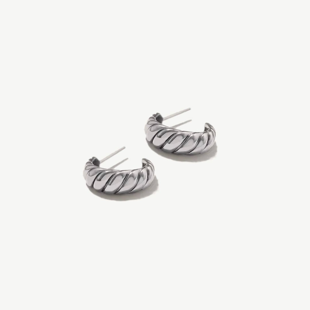 Monteloro Earrings Silver