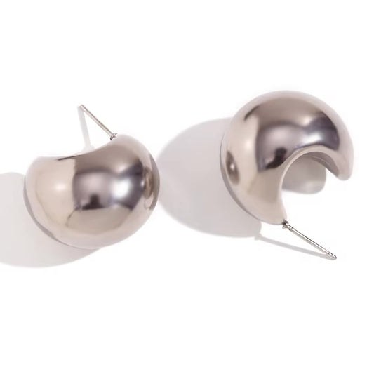 Alessano Earrings Silver